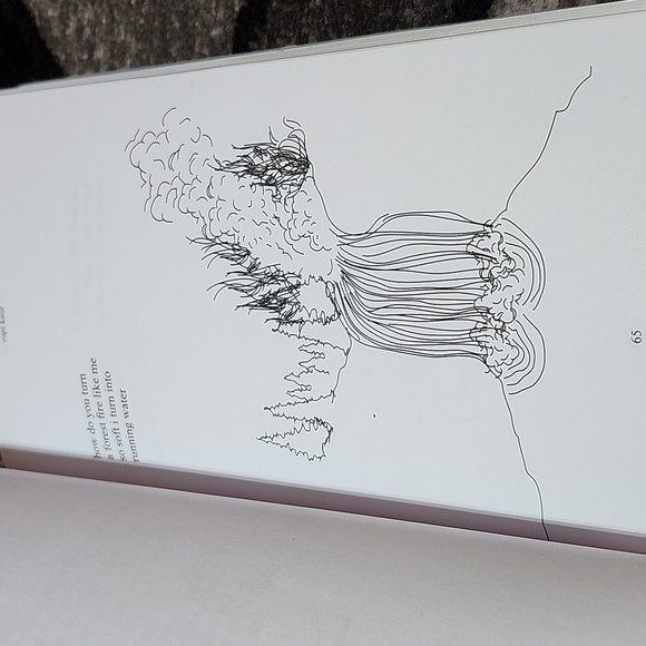 MILK AND HONEY RUPI KAUR NEW YORK TIMES BEST SELLER BOOK 2014 POETRY - Picture 4 of 11